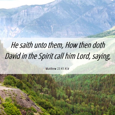 Picture 06 - Matthew 22:43 ASV - He saith unto them, How then doth David in the - Bible Verse Picture