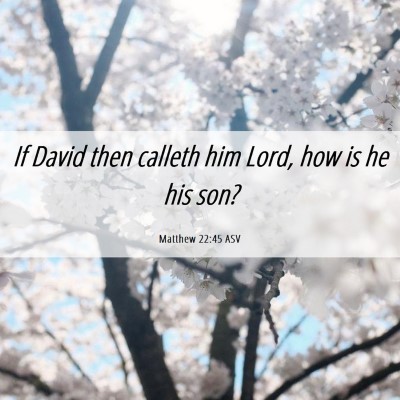 Picture 06 - Matthew 22:45 ASV - If David then calleth him Lord, how is he his - Bible Verse Picture