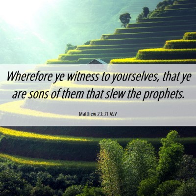 Picture 06 - Matthew 23:31 ASV - Wherefore ye witness to yourselves, that ye are - Bible Verse Picture