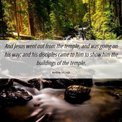 Picture 06 - Matthew 24:1 ASV - And Jesus went out from the temple, and was going - Bible Verse Picture