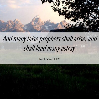 Picture 06 - Matthew 24:11 ASV - And many false prophets shall arise, and shall - Bible Verse Picture