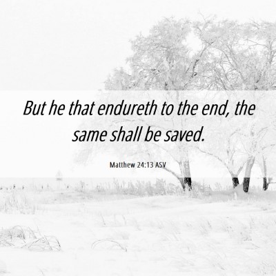 Picture 06 - Matthew 24:13 ASV - But he that endureth to the end, the same shall - Bible Verse Picture