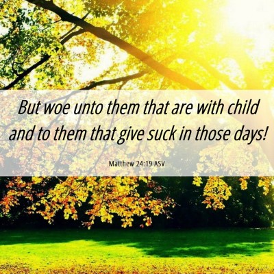 Picture 06 - Matthew 24:19 ASV - But woe unto them that are with child and to them - Bible Verse Picture
