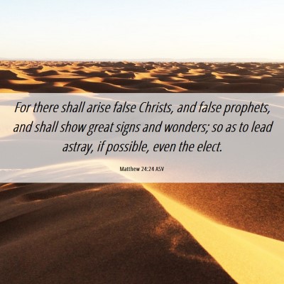 Picture 06 - Matthew 24:24 ASV - For there shall arise false Christs, and false - Bible Verse Picture