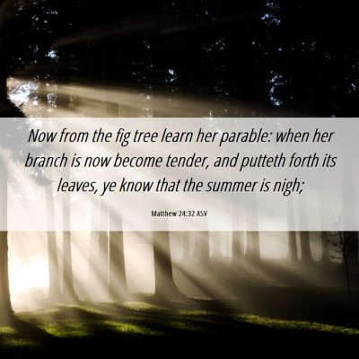 Picture 06 - Matthew 24:32 ASV - Now from the fig tree learn her parable: when her - Bible Verse Picture