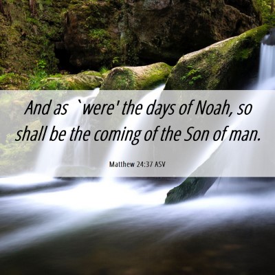 Picture 06 - Matthew 24:37 ASV - And as `were' the days of Noah, so shall be the - Bible Verse Picture