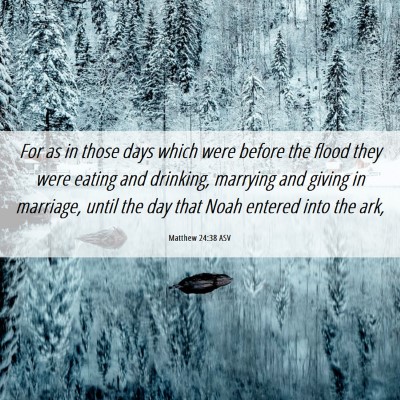 Picture 06 - Matthew 24:38 ASV - For as in those days which were before the flood - Bible Verse Picture