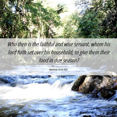 Picture 06 - Matthew 24:45 ASV - Who then is the faithful and wise servant, whom - Bible Verse Picture