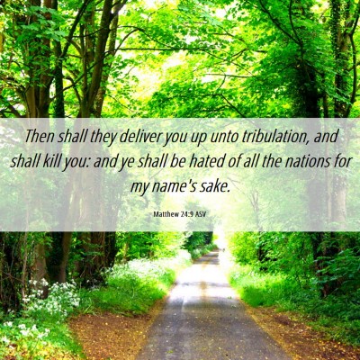 Picture 06 - Matthew 24:9 ASV - Then shall they deliver you up unto tribulation, - Bible Verse Picture