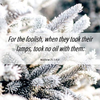 Picture 06 - Matthew 25:3 ASV - For the foolish, when they took their lamps, took - Bible Verse Picture