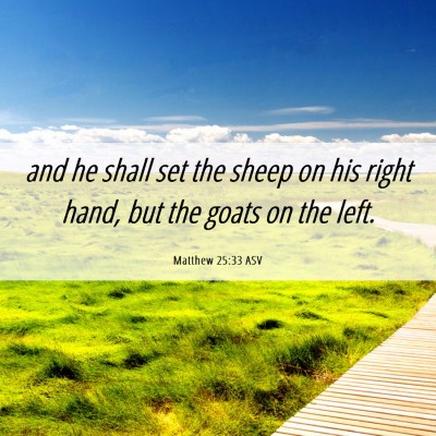 Picture 06 - Matthew 25:33 ASV - and he shall set the sheep on his right hand, but - Bible Verse Picture