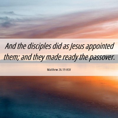 Picture 06 - Matthew 26:19 ASV - And the disciples did as Jesus appointed them; - Bible Verse Picture