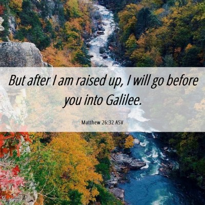 Picture 06 - Matthew 26:32 ASV - But after I am raised up, I will go before you - Bible Verse Picture
