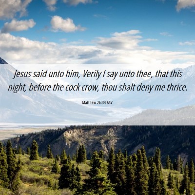 Picture 06 - Matthew 26:34 ASV - Jesus said unto him, Verily I say unto thee, that - Bible Verse Picture
