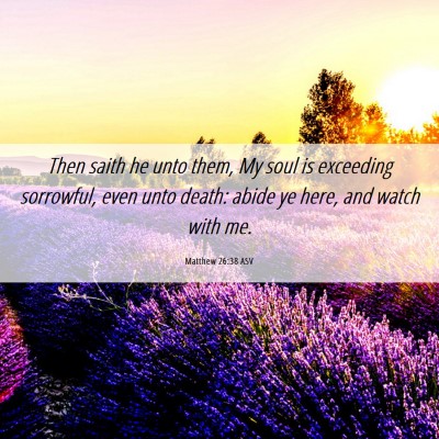 Picture 06 - Matthew 26:38 ASV - Then saith he unto them, My soul is exceeding - Bible Verse Picture