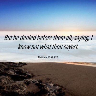 Picture 06 - Matthew 26:70 ASV - But he denied before them all, saying, I know not - Bible Verse Picture