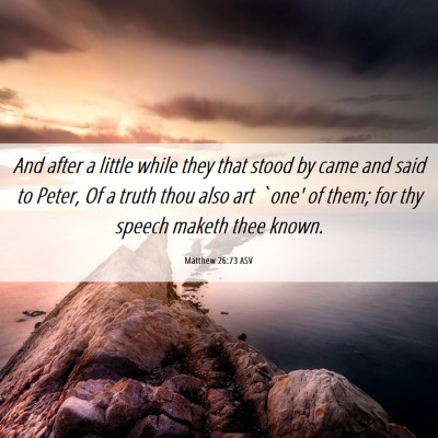 Picture 06 - Matthew 26:73 ASV - And after a little while they that stood by came - Bible Verse Picture