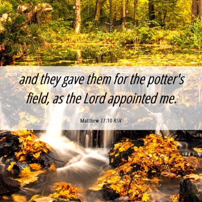 Picture 06 - Matthew 27:10 ASV - and they gave them for the potter's field, as the - Bible Verse Picture
