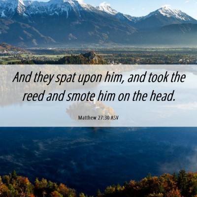 Picture 06 - Matthew 27:30 ASV - And they spat upon him, and took the reed and - Bible Verse Picture