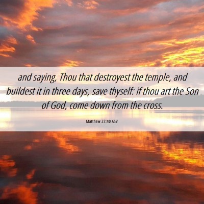 Picture 06 - Matthew 27:40 ASV - and saying, Thou that destroyest the temple, and - Bible Verse Picture