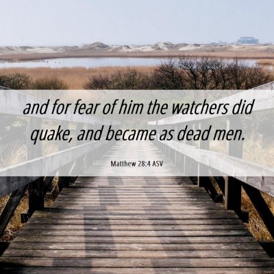 Picture 06 - Matthew 28:4 ASV - and for fear of him the watchers did quake, and - Bible Verse Picture
