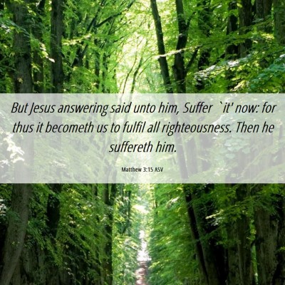 Picture 06 - Matthew 3:15 ASV - But Jesus answering said unto him, Suffer `it' - Bible Verse Picture