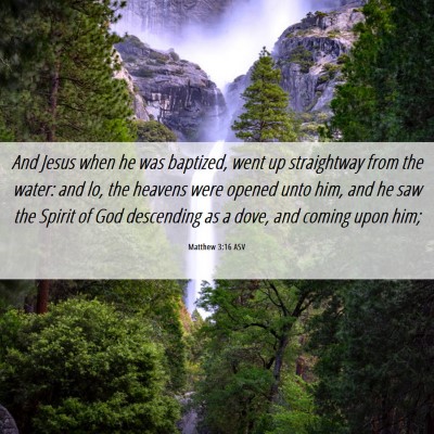 Picture 06 - Matthew 3:16 ASV - And Jesus when he was baptized, went up - Bible Verse Picture