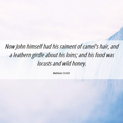 Picture 06 - Matthew 3:4 ASV - Now John himself had his raiment of camel's hair, - Bible Verse Picture