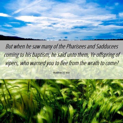Picture 06 - Matthew 3:7 ASV - But when he saw many of the Pharisees and - Bible Verse Picture