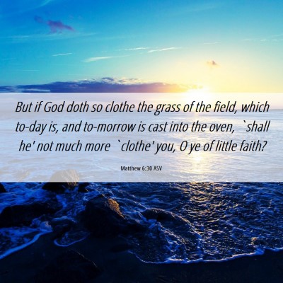 Picture 06 - Matthew 6:30 ASV - But if God doth so clothe the grass of the field, - Bible Verse Picture