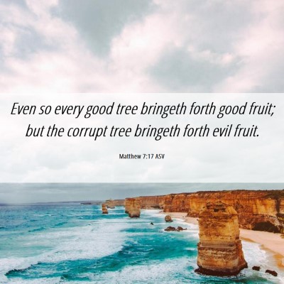 Picture 06 - Matthew 7:17 ASV - Even so every good tree bringeth forth good - Bible Verse Picture