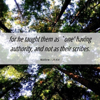 Picture 06 - Matthew 7:29 ASV - for he taught them as `one' having authority, and - Bible Verse Picture