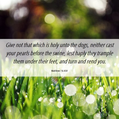 Picture 06 - Matthew 7:6 ASV - Give not that which is holy unto the dogs, - Bible Verse Picture