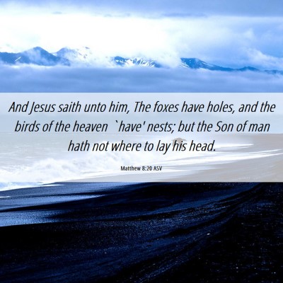 Picture 06 - Matthew 8:20 ASV - And Jesus saith unto him, The foxes have holes, - Bible Verse Picture