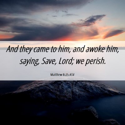 Picture 06 - Matthew 8:25 ASV - And they came to him, and awoke him, saying, - Bible Verse Picture