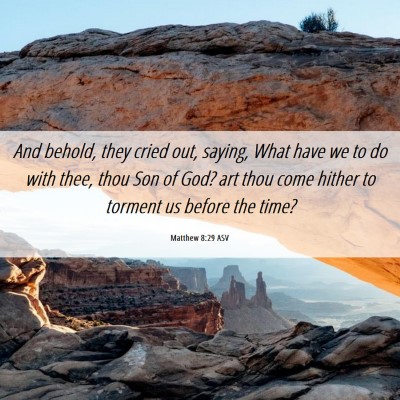 Picture 06 - Matthew 8:29 ASV - And behold, they cried out, saying, What have we - Bible Verse Picture