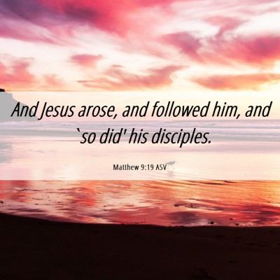 Picture 06 - Matthew 9:19 ASV - And Jesus arose, and followed him, and `so did' - Bible Verse Picture