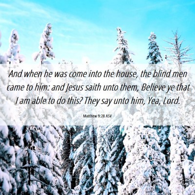 Picture 06 - Matthew 9:28 ASV - And when he was come into the house, the blind - Bible Verse Picture