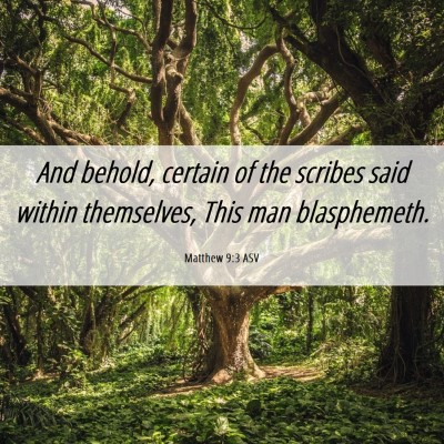 Picture 06 - Matthew 9:3 ASV - And behold, certain of the scribes said within - Bible Verse Picture
