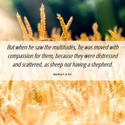 Picture 06 - Matthew 9:36 ASV - But when he saw the multitudes, he was moved with - Bible Verse Picture