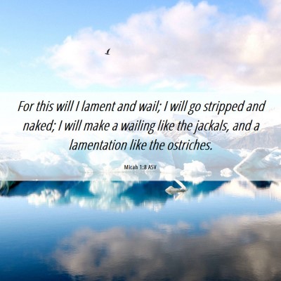 Picture 06 - Micah 1:8 ASV - For this will I lament and wail; I will go - Bible Verse Picture