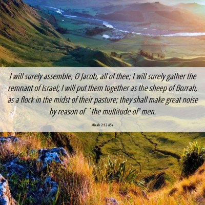 Picture 06 - Micah 2:12 ASV - I will surely assemble, O Jacob, all of thee; I - Bible Verse Picture