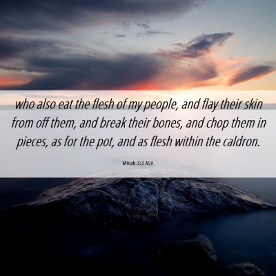 Picture 06 - Micah 3:3 ASV - who also eat the flesh of my people, and flay - Bible Verse Picture