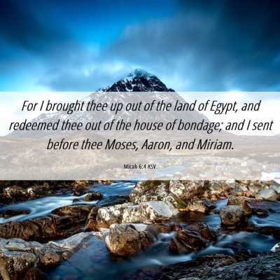 Picture 06 - Micah 6:4 ASV - For I brought thee up out of the land of Egypt, - Bible Verse Picture
