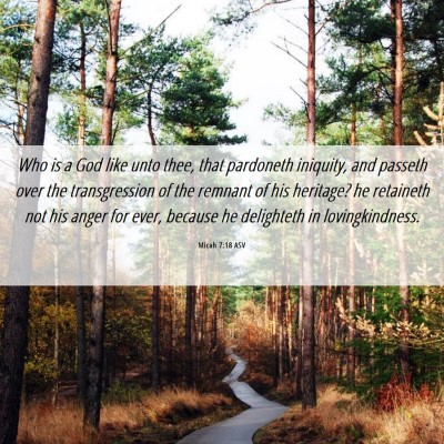 Picture 06 - Micah 7:18 ASV - Who is a God like unto thee, that pardoneth - Bible Verse Picture