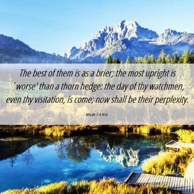 Picture 06 - Micah 7:4 ASV - The best of them is as a brier; the most upright - Bible Verse Picture