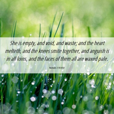 Picture 06 - Nahum 2:10 ASV - She is empty, and void, and waste; and the heart - Bible Verse Picture