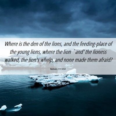Picture 06 - Nahum 2:11 ASV - Where is the den of the lions, and the - Bible Verse Picture