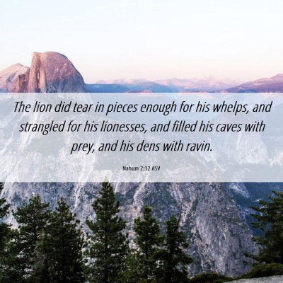 Picture 06 - Nahum 2:12 ASV - The lion did tear in pieces enough for his - Bible Verse Picture