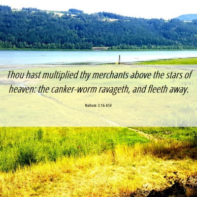 Picture 06 - Nahum 3:16 ASV - Thou hast multiplied thy merchants above the - Bible Verse Picture